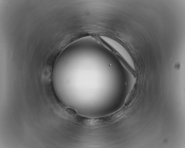 X0000091670273200709061049