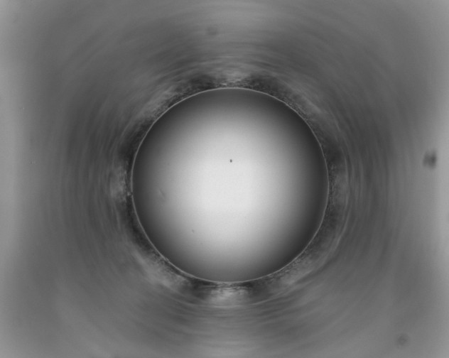 X0000091670274200709061049
