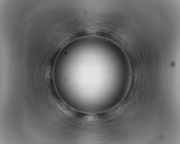 X0000091670275200709061049