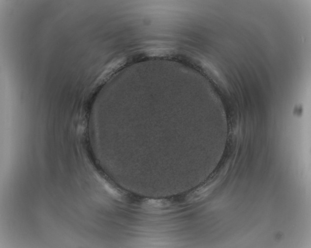 X0000091670277200709061049
