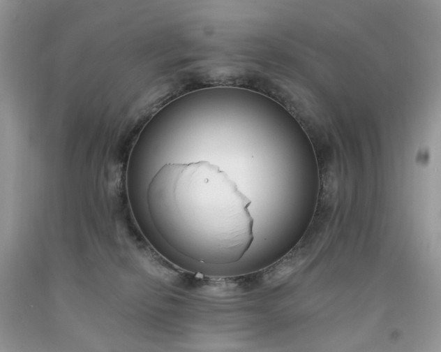 X0000091670278200709061049