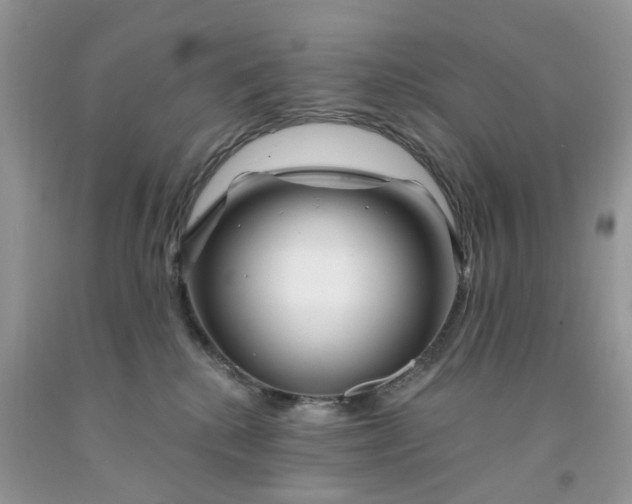 X0000091670280200709061049