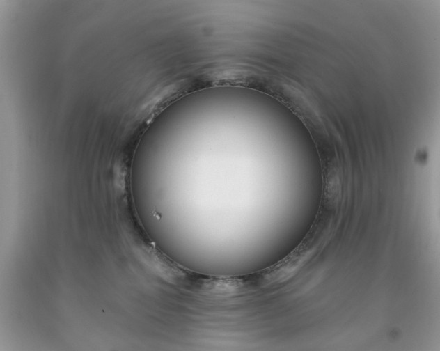 X0000091670282200709061049