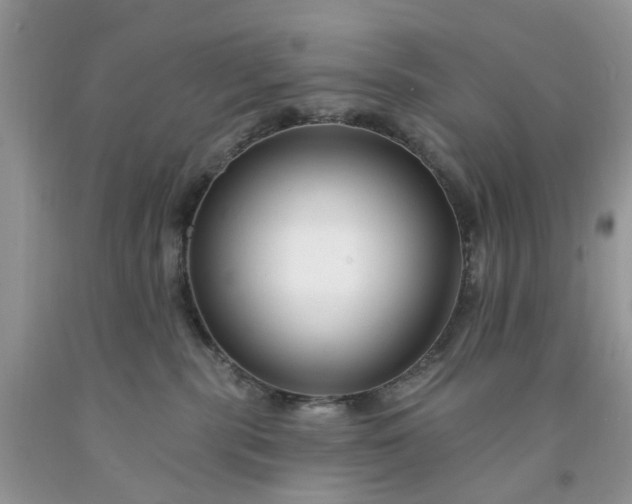 X0000091670283200709061049