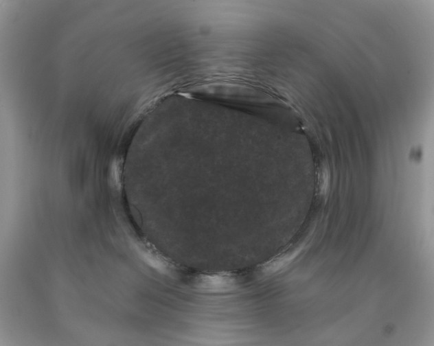 X0000091670286200709061049