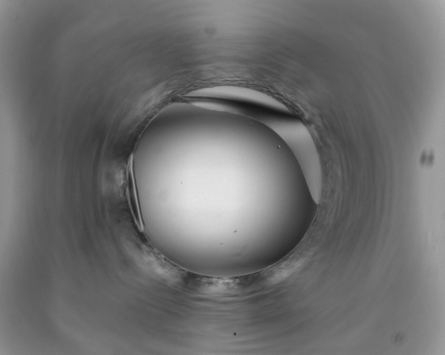 X0000091670288200709061049