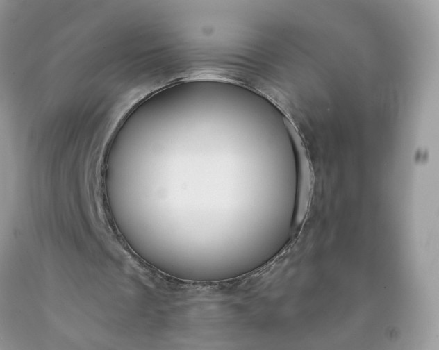 X0000091670289200709061048
