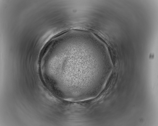 X0000091670290200709061048