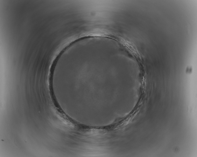 X0000091670292200709061048