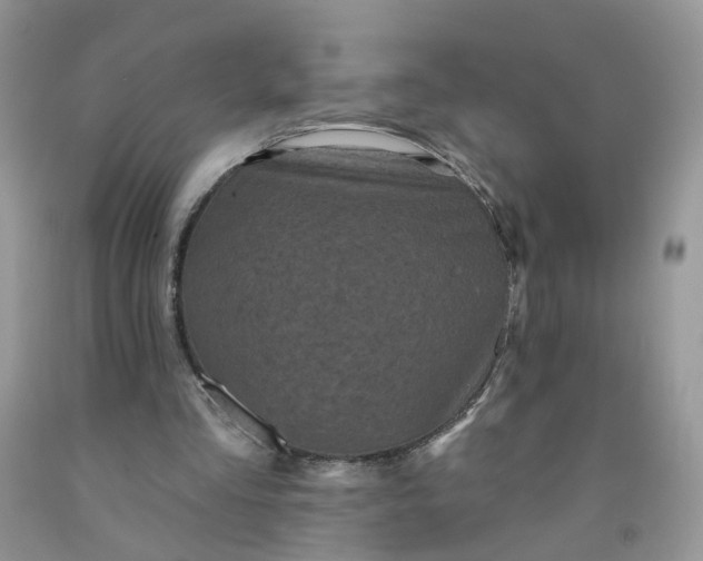 X0000091670293200709061048