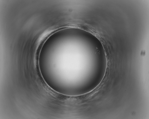 X0000091670294200709061048