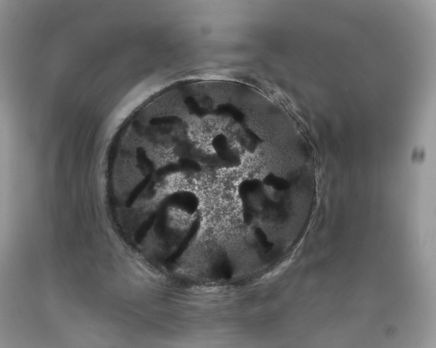X0000091670295200709061048