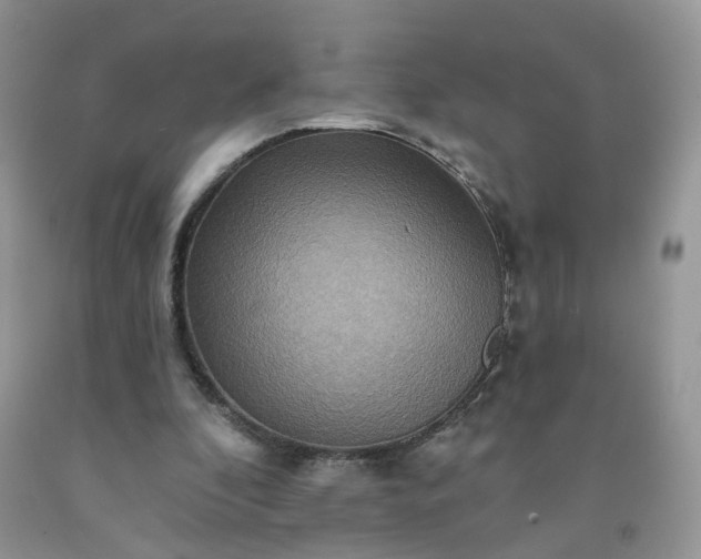 X0000091670296200709061048