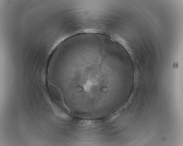 X0000091670297200709061048
