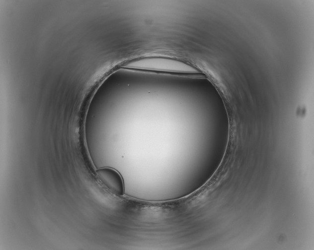 X0000091670298200709061048