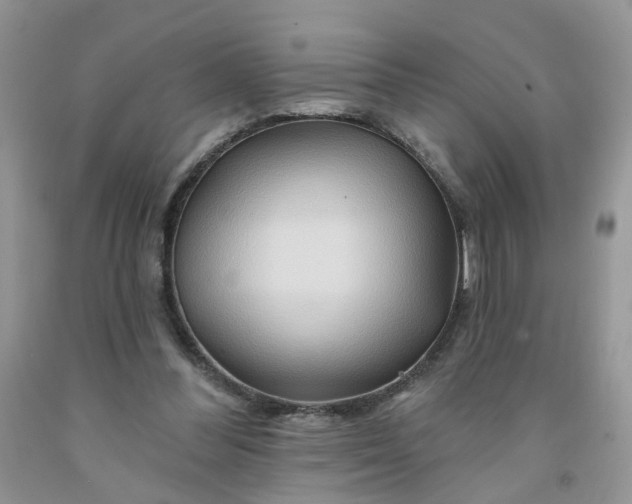 X0000091670300200709061048