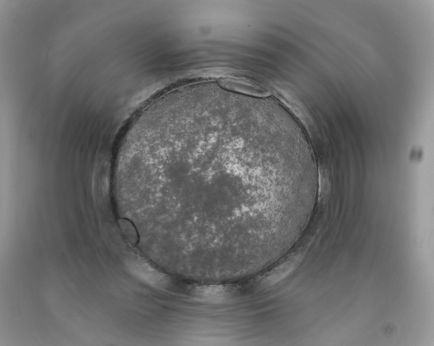 X0000091670301200709061048