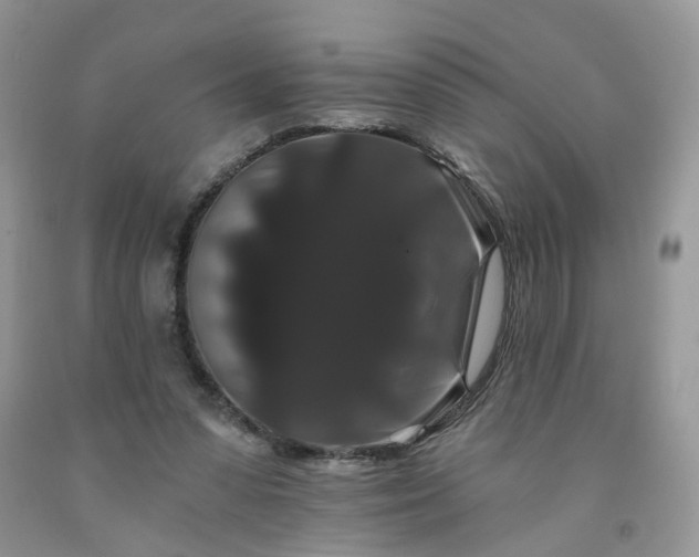 X0000091670303200709061048