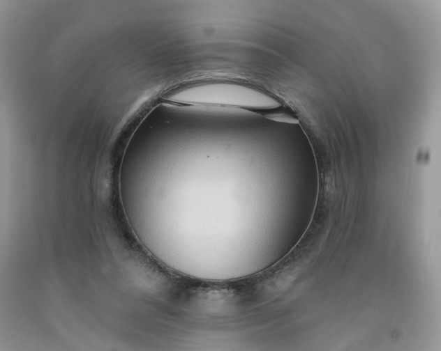 X0000091670304200709061048