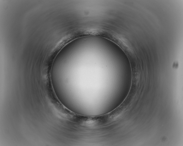 X0000091670312200709061048