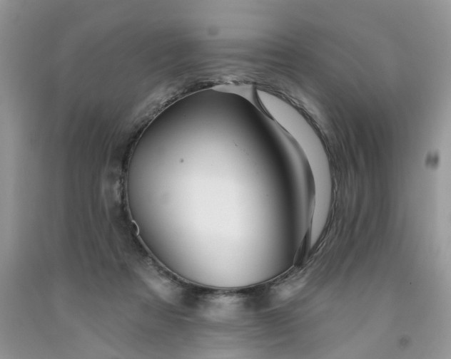 X0000091670313200709061048