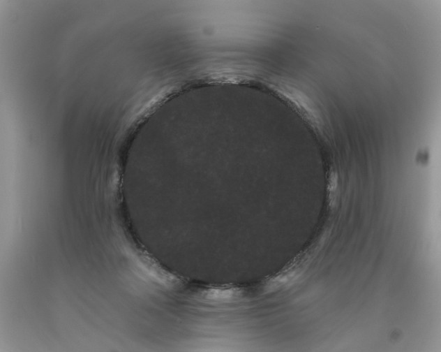 X0000091670314200709061048