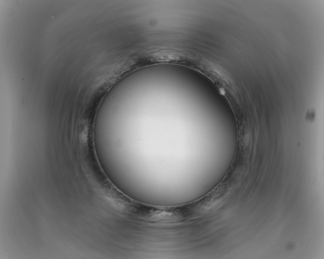 X0000091670315200709061048