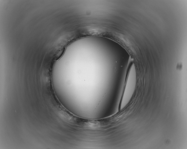 X0000091670317200709061048