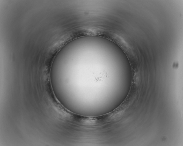 X0000091670318200709061048