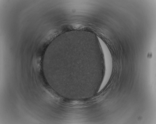 X0000091670319200709061048