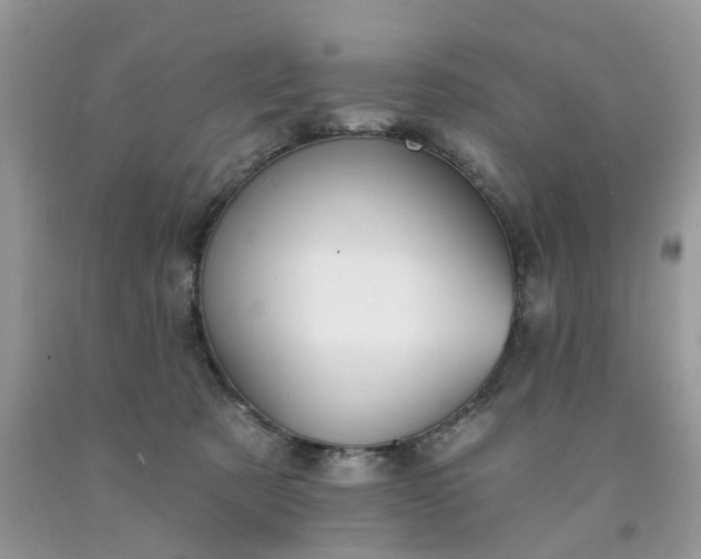 X0000091670321200709061048