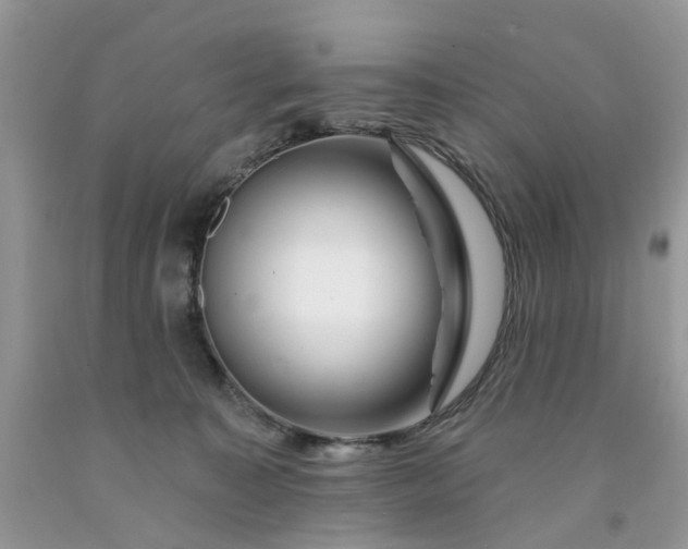 X0000091670323200709061048