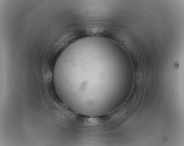 X0000091670324200709061048