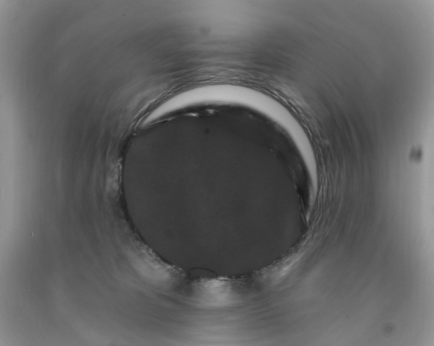 X0000091670325200709061048