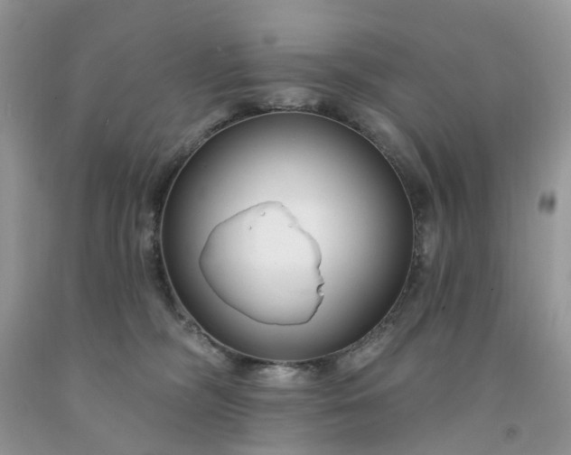 X0000091670326200709061048