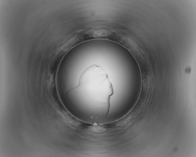X0000091670327200709061048