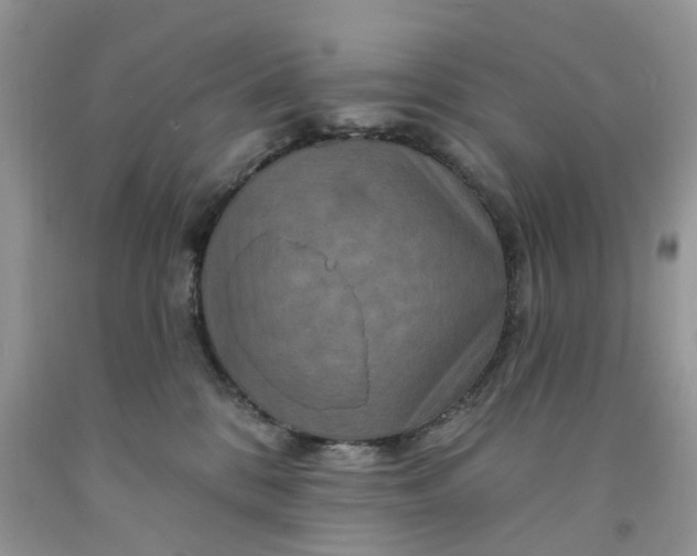 X0000091670328200709061048