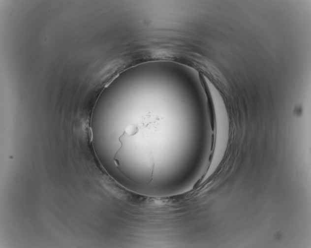 X0000091670329200709061048