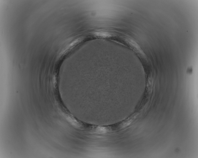 X0000091670330200709061048
