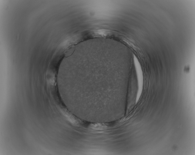 X0000091670331200709061048