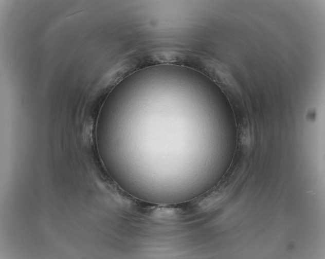 X0000091670332200709061048