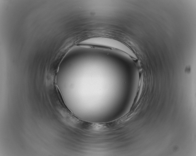 X0000091670333200709061048