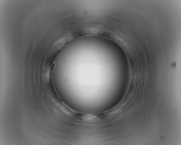 X0000091670334200709061048