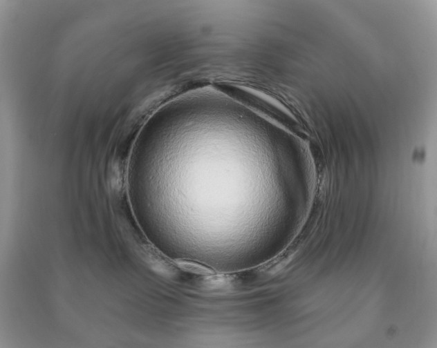 X0000091670335200709061048
