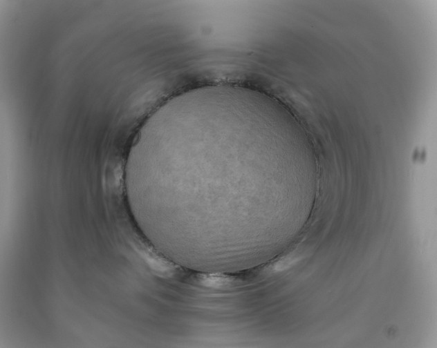 X0000091670336200709061048