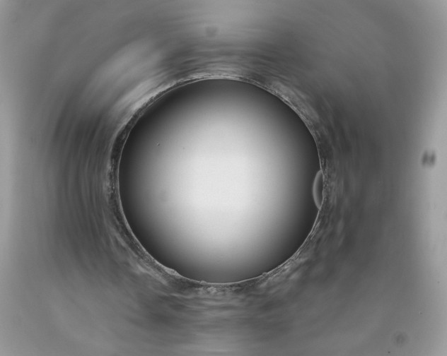 X0000091670338200709061047