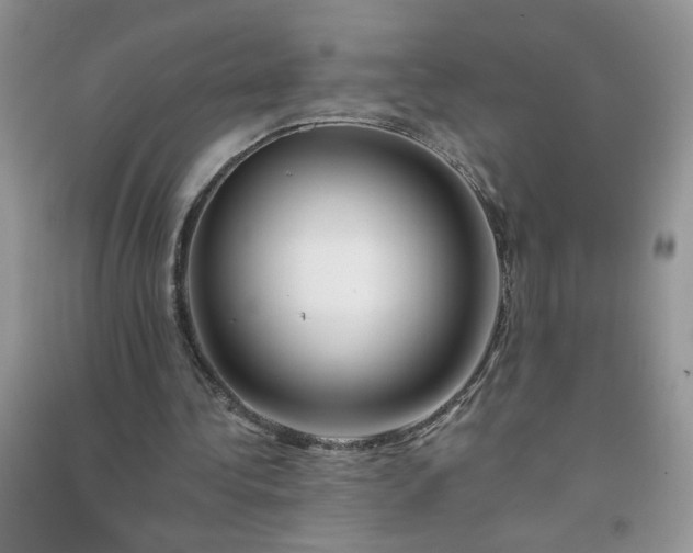 X0000091670340200709061047