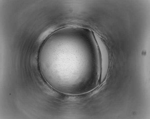 X0000091670341200709061047