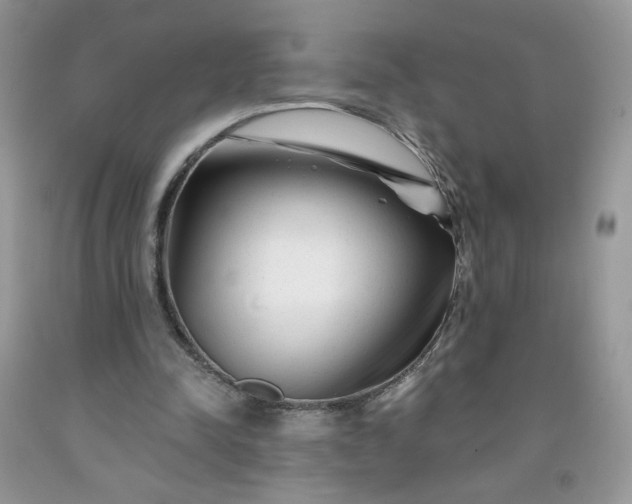 X0000091670342200709061047