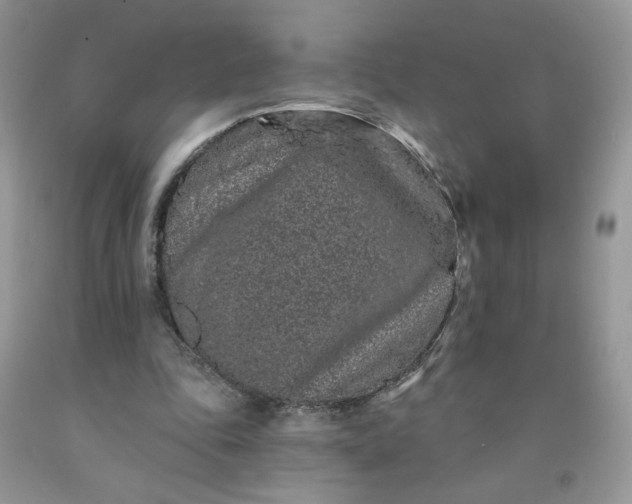 X0000091670343200709061047